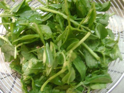 Rasavinsuvai : HEALTH BENEFITS OF METHI LEAVES