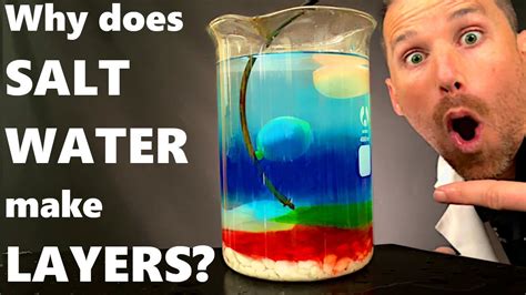 Best Salt Water Density Experiment Ever (Maybe) - YouTube