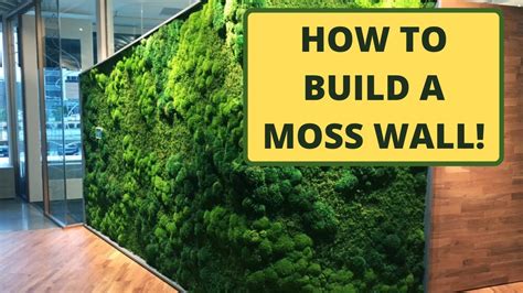 How to Make a Moss Wall | Use Pre-Made Moss Panels. - YouTube