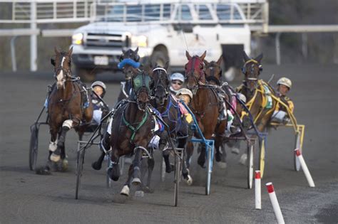 Mohawk Park qualifiers cancelled - Woodbine Mohawk Park