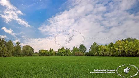 Country landscape with trees background 21037