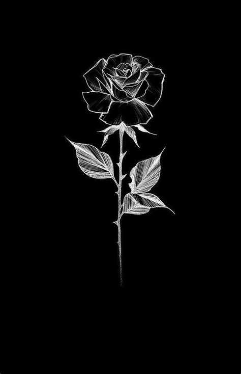 Pin by Mai B on Art♥ | Black roses wallpaper, Cute black wallpaper, Black wallpaper iphone