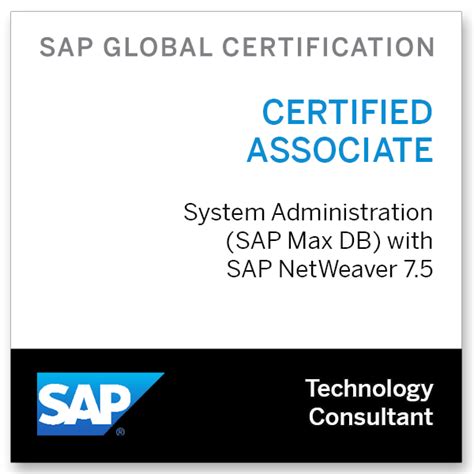 The Wombelix Post - SAP Certified Technology Associate - System ...