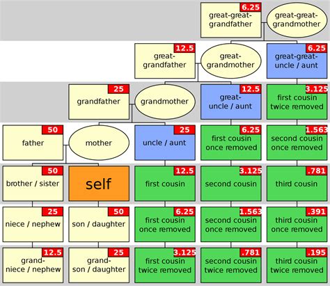 Family genealogy, Genealogy, Ancestry genealogy