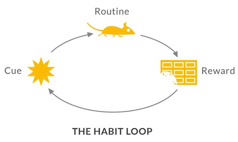 The Habit Loop