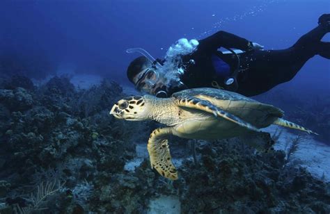 Scuba Diving in Calangute, Candolim and Baga beach in Goa.