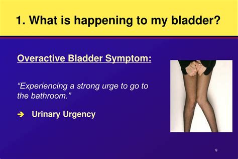 PPT - Management of Neurogenic Bladder Disorders PowerPoint Presentation - ID:495817