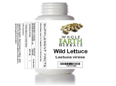 Wild Lettuce - Lactuca virosa- 400Mg Vegetarian Capsules | Wild lettuce, Wild lettuce tea, Wild ...