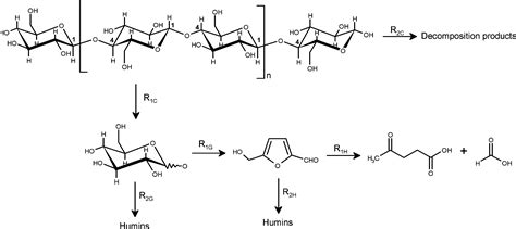 Acid Catalyzed Hydrolysis