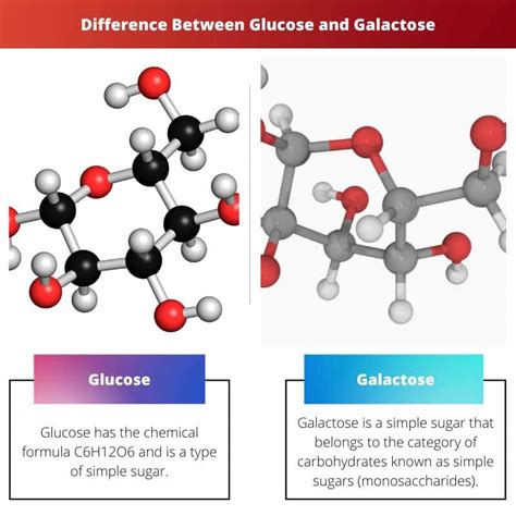 Glucose vs Galactose: Difference and Comparison