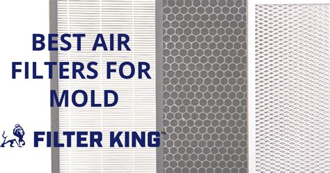 Best Air Filters for Mold and Air Purification [2021]