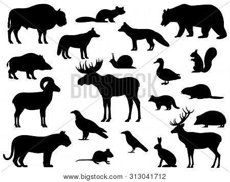 Set Black Silhouette Vector & Photo (Free Trial) | Bigstock