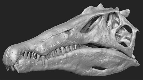 OBJ file Spinosaurus Dinosaur Skull 🦖・3D print model to download・Cults