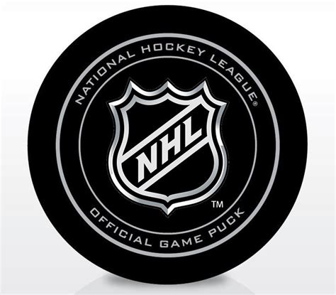 Remember the NHL logo puck from 1996? Maybe this is what it might look ...