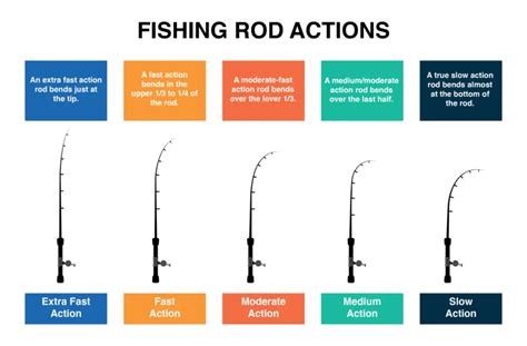 Fishing Rod Action: A Complete Guide – Tilt Fishing