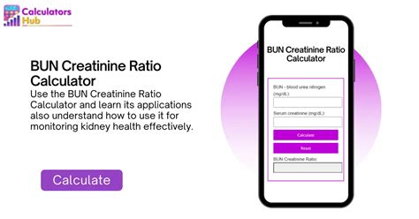 BUN Creatinine Ratio Calculator | Navigating Kidney Health