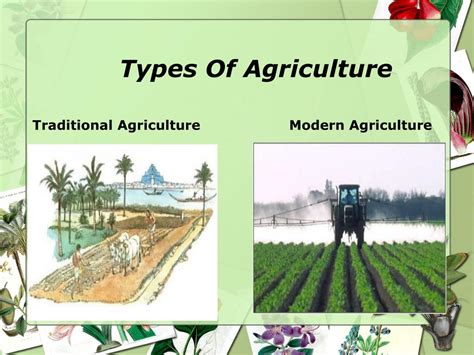 PPT - Modern Agriculture PowerPoint Presentation, free download - ID ...