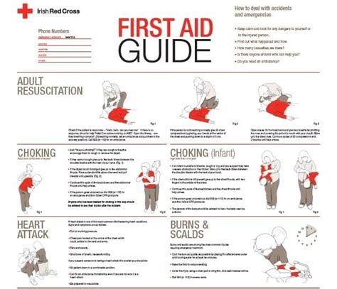 First aid guide poster - www.globalfirstaidcentre.org