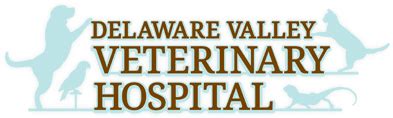 Delaware Valley Veterinary Hospital Chooses USA Phone’s VoIP Solution ...