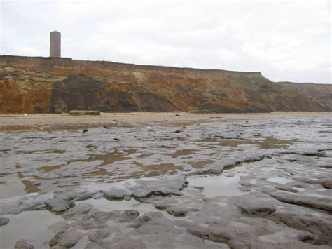 Walton-on-the-Naze (Essex) | Discovering Fossils