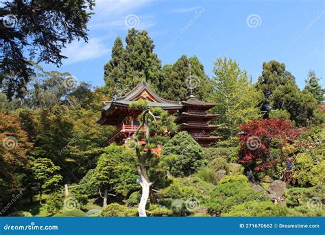 Japanese Temples in the Forest Stock Photo - Image of green, trees: 271670662