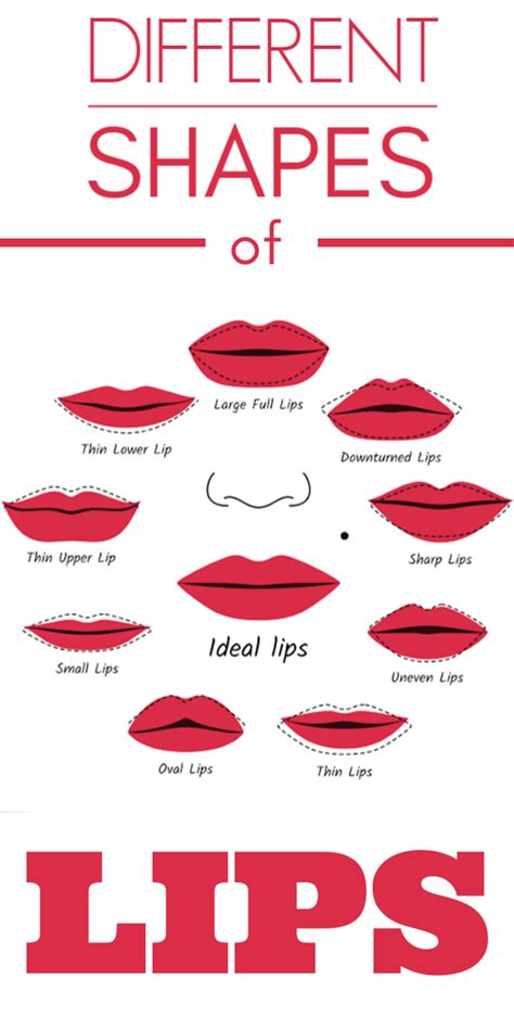 Lip Shapes Men