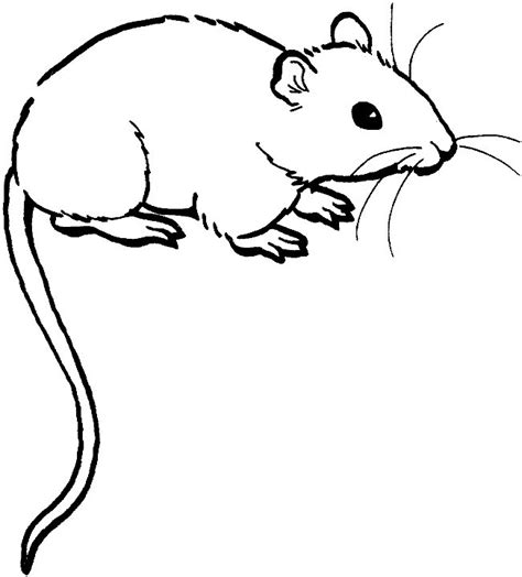 Mouse Coloring Pages - Coloringpages1001.com