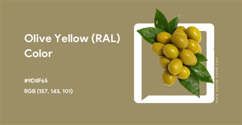 Olive Yellow (RAL) color hex code is #9D8F65