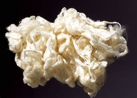 Viscose Fibers - Aramid-fiber - PET 06-04-2023 • Polyestertime