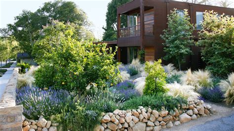 Designing with Drought-Resistant Plants