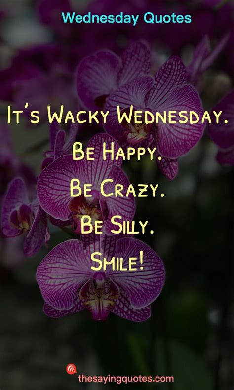 Wacky Wednesday Quotes - ShortQuotes.cc