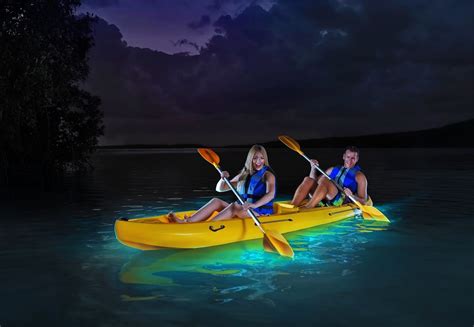 Bioluminescence under Kayak | Bioluminescent bay, Kayaking, Travel picture ideas