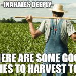 Meme farmer Meme Generator - Imgflip