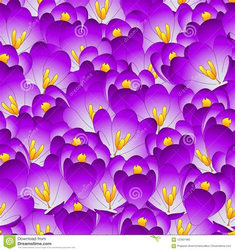 Purple Crocus Flower Seamless Background. Vector Illustration Stock Vector - Illustration of ...