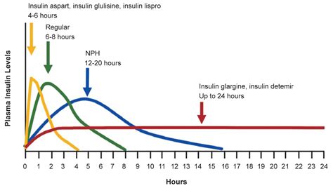 Identifying and Addressing Barriers to Insulin Acceptance and Adherence ...