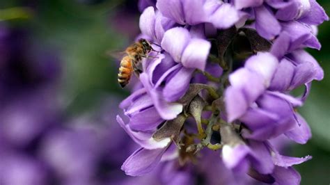 Does A Warm Winter Mean An Early Start To Gardening And Lawn Care? | Weather Underground