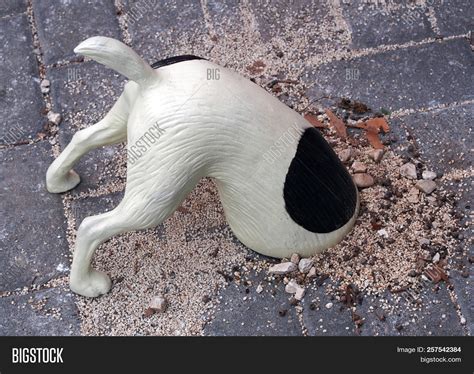 Funny Figurine Digging Image & Photo (Free Trial) | Bigstock