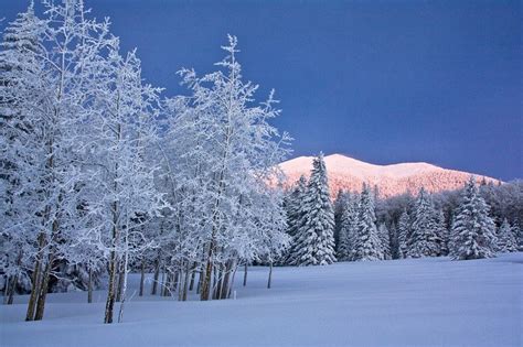 Flagstaff, Arizona San Francisco Peaks | Arizona adventure, Arizona ...