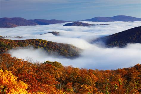 3. Skyline Drive: A webcam into the wild | The Most Spectacular Fall Foliage You Need to See Now