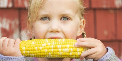 This Guy Reveals That We've Been Eating Corn On The Cob All Wrong Our ...