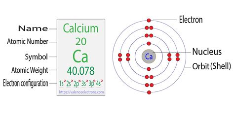 21+ Orbital Diagram Of Calcium - CeyhunLowan