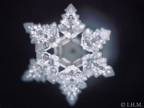 Power of Our Thoughts - Captured by Photographs in Masuro Emoto's "Message from Water" | Masaru ...