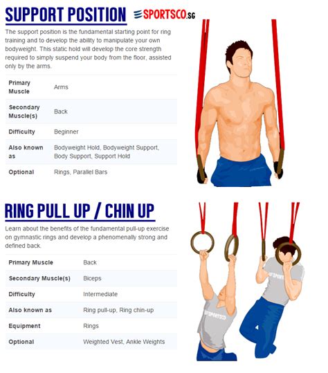 Workout Exercises: Ring Workout Exercises