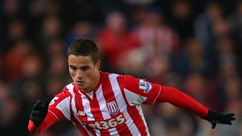 Stoke's Ibrahim Afellay faces long-term lay-off with serious knee injury | Football News | Sky ...