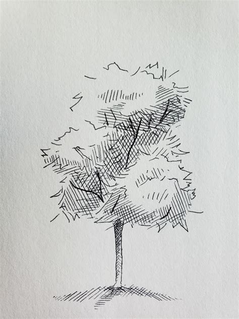 Little tree i drew on an index card during a boring zoom meeting : r/drawing