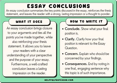 17 Essay Conclusion Examples (Copy and Paste)