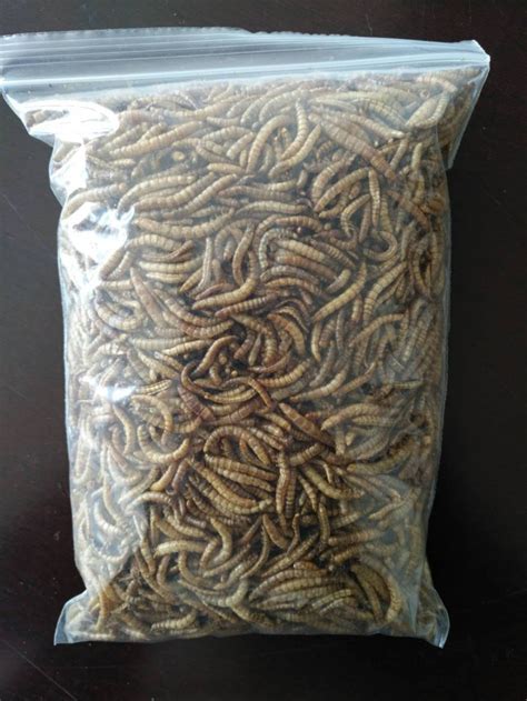 FDA Certificate Dried Yellow Mealworm - QINGDAO SINO CROWN BIOLOGICAL ...