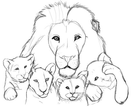 Lion Family Drawing at GetDrawings | Free download