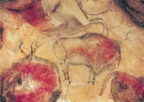 Prehistoric Bisons from the Caves at Altamira Art Painting for sale - iArtPrints.com