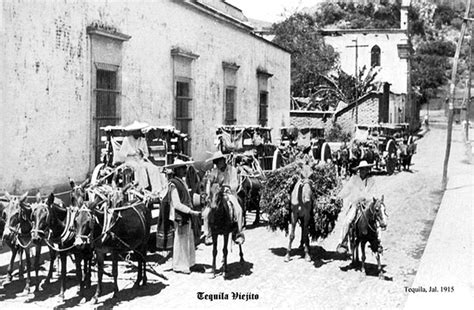 50+ best Historia de Tequila Jalisco Mexico images on Pinterest | Tequila, History and Guadalajara